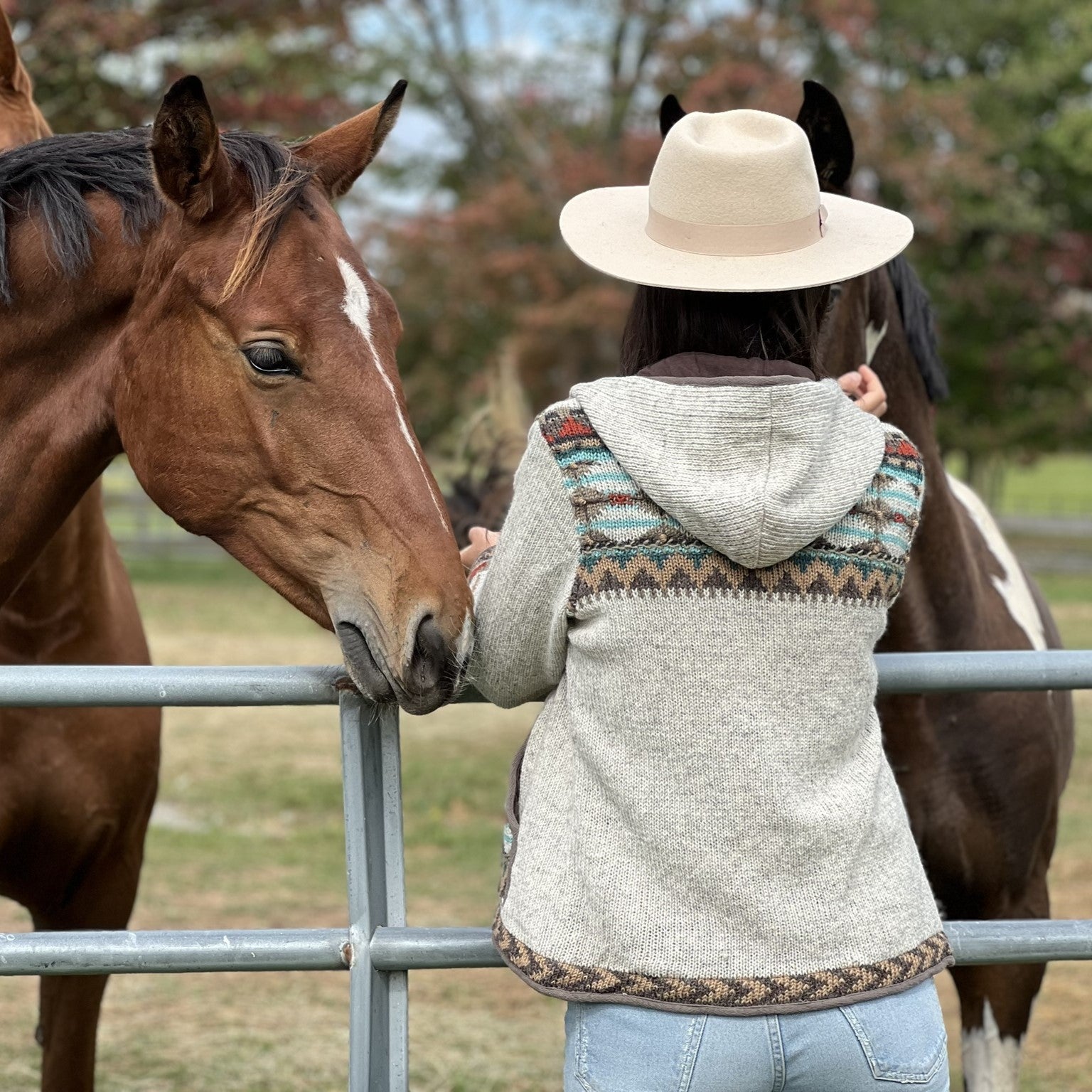 Dakotah Wool Sweater - Western Knit with Hood & Zip – Lost Horizons CA